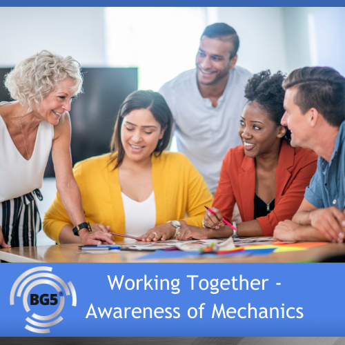 Working Together in Awareness of the Mechanics - BG5® Business Institute